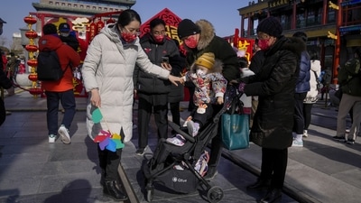 As communities across Asia welcomed the Year of the Rabbit, the Vietnamese were celebrating the Year of the Cat instead. (AP) As communities across Asia welcomed the Year of the Rabbit, the Vietnamese were celebrating the Year of the Cat instead. (AP)