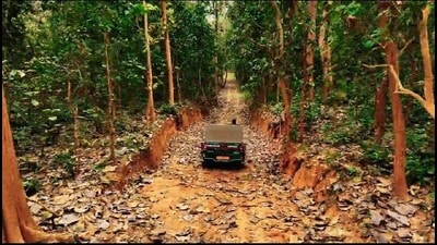 Field director (FD) of Dudhwa Tiger Reserve (DTR) Sanjay Pathak, who was also present at the meeting, said the department was taking initiatives to diversify the livelihood of the people living near the sanctuary. (Pic for representation)