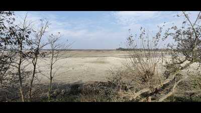 Haiderpur wetland is a Ramsar site, a wetland of international importance, on the border of Muzaffarnagar and Bijnor districts in Uttar Pradesh Haiderpur wetland is a Ramsar site, a wetland of international importance, on the border of Muzaffarnagar and Bijnor districts in Uttar Pradesh