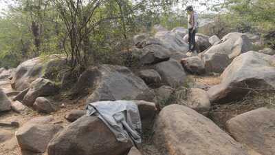 The forested area where the murder took place. (HT Photo)