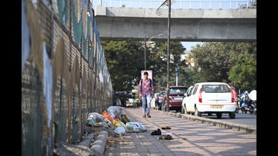 Trees with latch which were used on Onkareshwar bridge as beautification during G20 meet were removed and garbage is back on city streets. (Kalpesh Nukte/HT PHOTO) Trees with latch which were used on Onkareshwar bridge as beautification during G20 meet were removed and garbage is back on city streets. (Kalpesh Nukte/HT PHOTO)