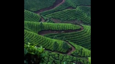 The image is taken from a Twitter video showing a part of the incredible India. (Twitter/@hvgoenka)
