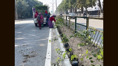 Work underway to decorate the Airport Road in Mohali, en route the G20 Summit meeting venue. (HT Photo) Work underway to decorate the Airport Road in Mohali, en route the G20 Summit meeting venue. (HT Photo)