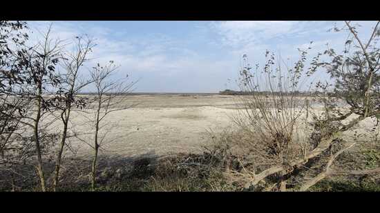 Haiderpur wetland is a Ramsar site, a wetland of international importance, on the border of Muzaffarnagar and Bijnor districts in Uttar Pradesh Haiderpur wetland is a Ramsar site, a wetland of international importance, on the border of Muzaffarnagar and Bijnor districts in Uttar Pradesh