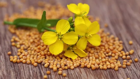 Mustard seeds: They are a rich source of minerals like magnesium that exhibit powerful anti-inflammatory properties that are helpful in dealing with tonsils and its symptoms. Gargle with the mixture of mustard powder and a glass of hot water.(depositphoto)