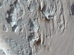 Aerial imagery from the Maxar WorldView-3 satellite shows the newly discovered emperor penguin colony. (BAS) Aerial imagery from the Maxar WorldView-3 satellite shows the newly discovered emperor penguin colony. (BAS)