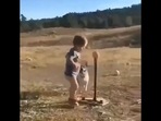 The image is taken from the video that shows a kid playing baseball with his pet dog.(Twitter/@ipskabra) The image is taken from the video that shows a kid playing baseball with his pet dog.(Twitter/@ipskabra)