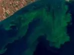 Participants have to study satellite images of inland water bodies, identify and segregate the algal blooms according to severity. (NASA) Participants have to study satellite images of inland water bodies, identify and segregate the algal blooms according to severity. (NASA)