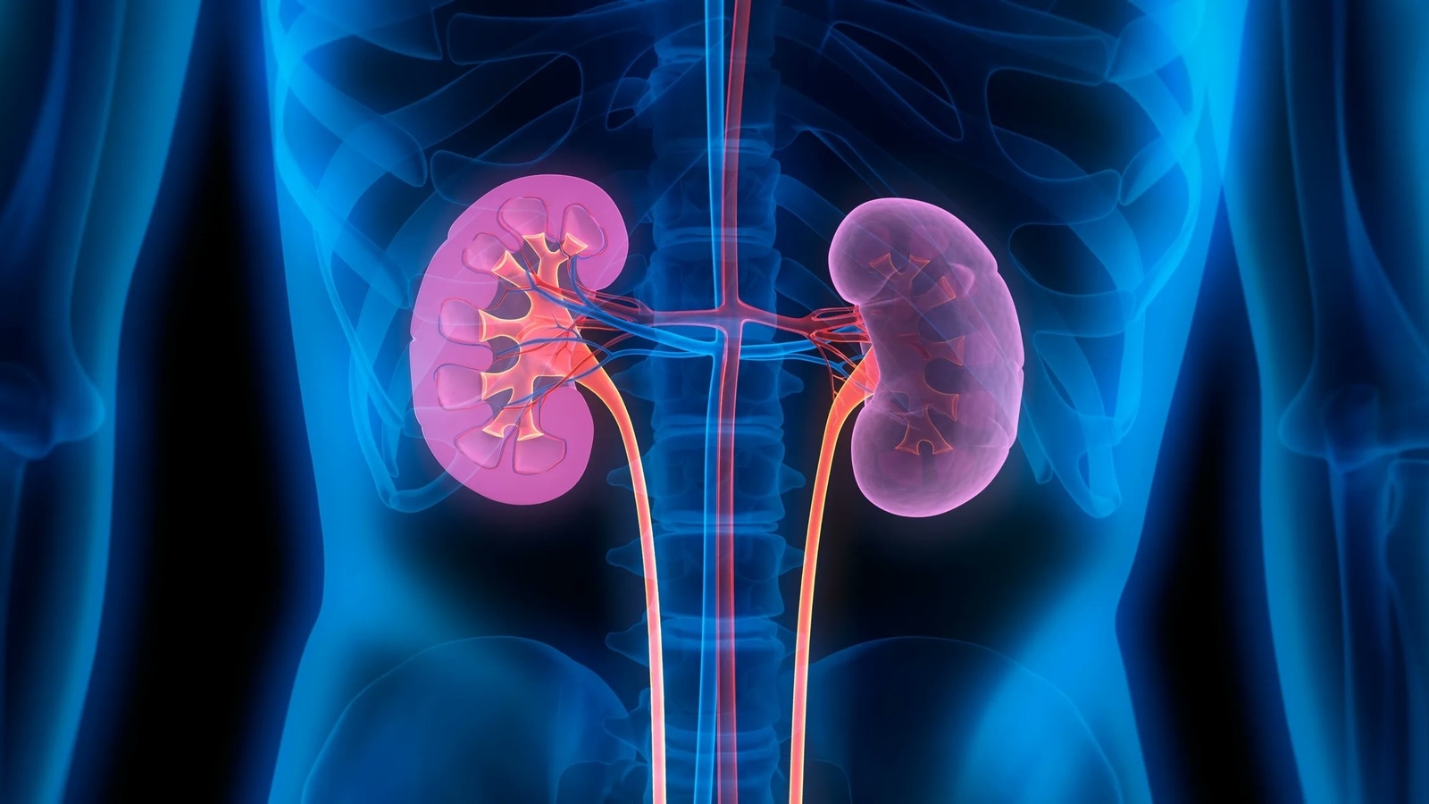 Dos and don’ts for kidney transplant recipients