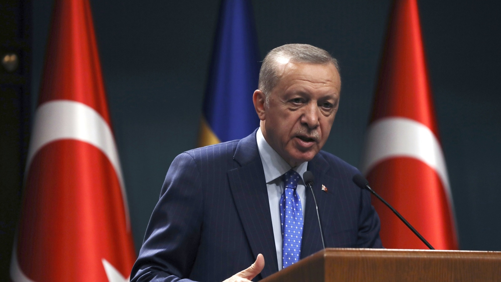 Turkey to hold parliamentary elections on May 14, says President Erdogan