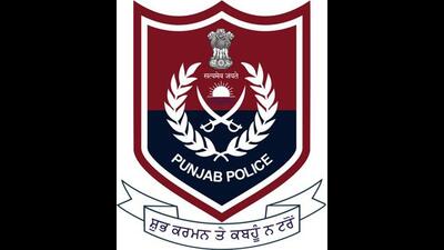 Punjab had 12 DGPs in 2017. (Representational Photo) Punjab had 12 DGPs in 2017. (Representational Photo)