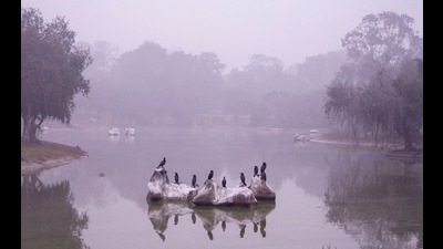 The water conservation scheme is aimed at developing and rejuvenating 75 water bodies in each district as part of the celebrations of Azadi Ka Amrit Mahotsav (For representation)