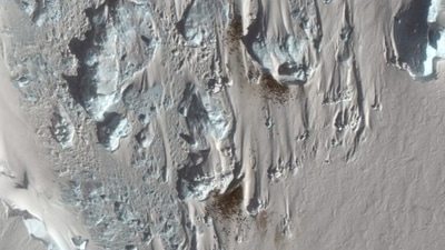 Aerial imagery from the Maxar WorldView-3 satellite shows the newly discovered emperor penguin colony. (BAS) Aerial imagery from the Maxar WorldView-3 satellite shows the newly discovered emperor penguin colony. (BAS)