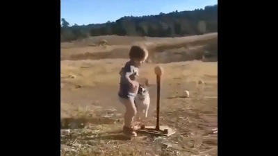 The image is taken from the video that shows a kid playing baseball with his pet dog. (Twitter/@ipskabra) The image is taken from the video that shows a kid playing baseball with his pet dog. (Twitter/@ipskabra)