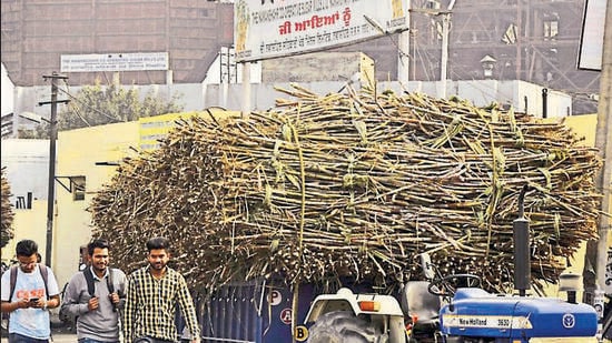 The farmers’ bodies said they will not allow the crushing operations at sugar mills until the government increases the SAP to ₹450 per quintal from the existing ₹362. (HT File)