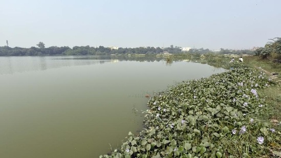 The study also found that this increase in built-up area has also reduced Delhi’s groundwater recharge potential. (Sanjeev Verma/HT Photo)