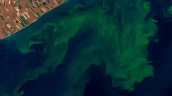 Participants have to study satellite images of inland water bodies, identify and segregate the algal blooms according to severity. (NASA)