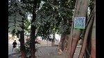 Authorities at the Empress Botanical Garden have pasted a QR code on each tree to make it easier to learn about the ancient trees. (Ravindra Joshi/HT PHOTO) Authorities at the Empress Botanical Garden have pasted a QR code on each tree to make it easier to learn about the ancient trees. (Ravindra Joshi/HT PHOTO)