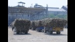 Besides workers and labourers, hundreds of drivers of the tractor-trailers, who are engaged in the transportation of sugarcane from the purchase centres to the sugar mills’ are also suffering, (HT File Photo) Besides workers and labourers, hundreds of drivers of the tractor-trailers, who are engaged in the transportation of sugarcane from the purchase centres to the sugar mills’ are also suffering, (HT File Photo)