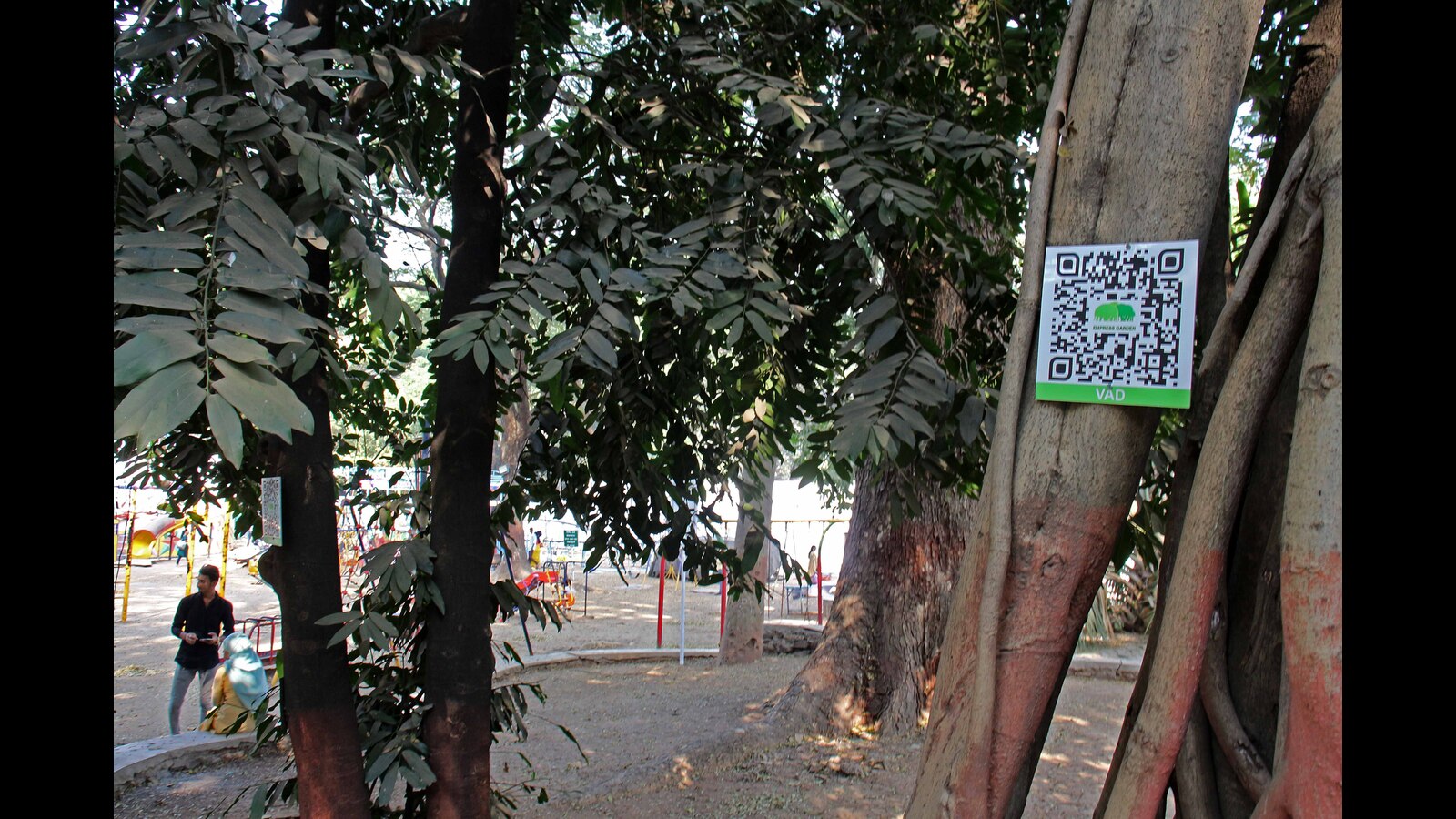 अब, एम्प्रेस गार्डन में पेड़ों के बारे में जानने के लिए क्यूआर कोड स्कैन करें