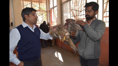 According to information released by the Central Fire Brigade, approximately 30 birds were trapped and injured in manja over the last month. (HT PHOTO)