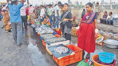 The issue regarding the relocation of the fish market has been brewing since July 2021. After the HC had pulled up the Brihanmumbai Municipal Corporation (BMC) for operating the wholesale fish market in a building which was declared to be in a “precarious condition”, the civic body had submitted a plan to shift the traders and stated that the wholesale fish market would be relocated near Mahatma Jyotiba Phule Market or Crawford Market, as the fish market building was to be demolished and reconstructed. (Image for representation) The issue regarding the relocation of the fish market has been brewing since July 2021. After the HC had pulled up the Brihanmumbai Municipal Corporation (BMC) for operating the wholesale fish market in a building which was declared to be in a “precarious condition”, the civic body had submitted a plan to shift the traders and stated that the wholesale fish market would be relocated near Mahatma Jyotiba Phule Market or Crawford Market, as the fish market building was to be demolished and reconstructed. (Image for representation)