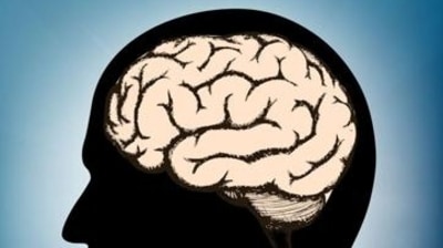 Head injury linked with doubled mortality rate in long term: Research (Shutterstock)