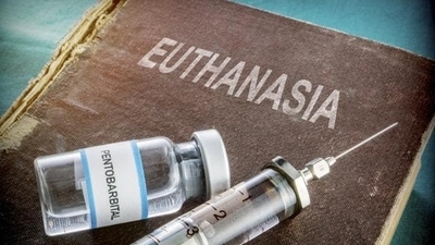SC eases norms for passive euthanasia SC eases norms for passive euthanasia