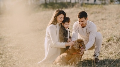 Republic Day 2023: Things you can do to make your pet feel special (Pixabay) Republic Day 2023: Things you can do to make your pet feel special (Pixabay)