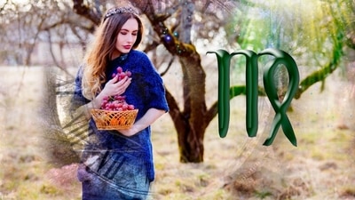 Virgo Daily Horoscope Today for January 25, 2023: Everything seems good and fair today.