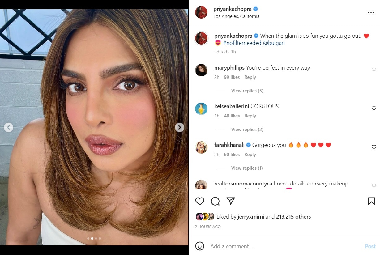 Priyanka Chopra has posted new pics on Instagram.