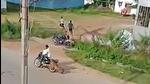 Karnataka government is planning to set up a leopard task force, after it claimed four lives in T Narasipura taluk in Mysuru (PTI) Karnataka government is planning to set up a leopard task force, after it claimed four lives in T Narasipura taluk in Mysuru (PTI)