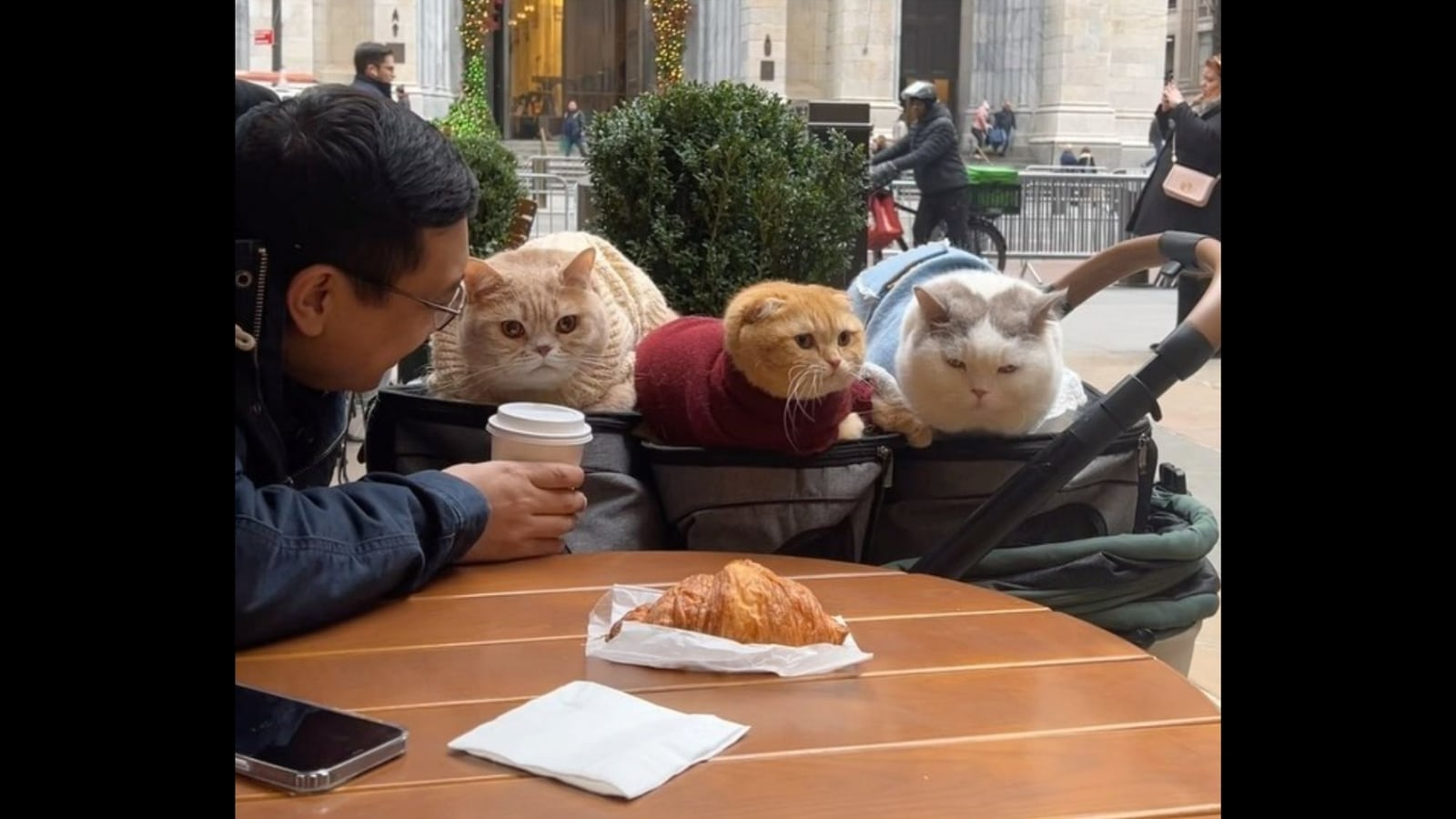 Hungarian Cat Cafe - Love Meow