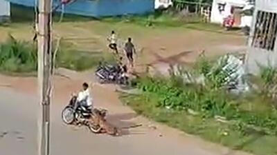 Karnataka government is planning to set up a leopard task force, after it claimed four lives in T Narasipura taluk in Mysuru (PTI) Karnataka government is planning to set up a leopard task force, after it claimed four lives in T Narasipura taluk in Mysuru (PTI)