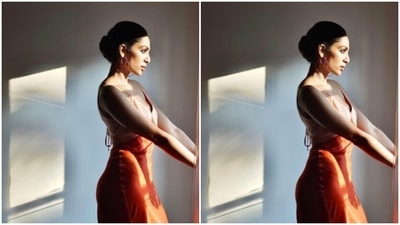 Sobhita wore her tresses into a clean bun and decked up in nude eyeshadow, black eyeliner, black kohl, mascara-laden eyelashes, drawn eyebrows, contoured cheeks and a shade of nude lipstick.&nbsp; (Instagram/@sobhitad)