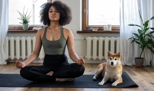 V. Advanced dog yoga poses
