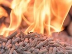 The mortal remains will get reduced to ashes within two hours using LPG cylinder weighing 10 kg. The mortal remains will get reduced to ashes within two hours using LPG cylinder weighing 10 kg.