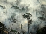 Smoke billows from a fire in an area of the Amazon rainforest near Porto Velho. Smoke billows from a fire in an area of the Amazon rainforest near Porto Velho.
