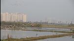 Gurugram, India-December 01: Dirty water of the Najafgarh drain logged in the Daulatabad village field at Dwarka expressway near sector-107,in Gurugram, India, on Thursday, 01 December 2022.(Photo by Parveen Kumar/Hindustan Times)(Pic to go with Abhishek Bhel's Story) Gurugram, India-December 01: Dirty water of the Najafgarh drain logged in the Daulatabad village field at Dwarka expressway near sector-107,in Gurugram, India, on Thursday, 01 December 2022.(Photo by Parveen Kumar/Hindustan Times)(Pic to go with Abhishek Bhel's Story)