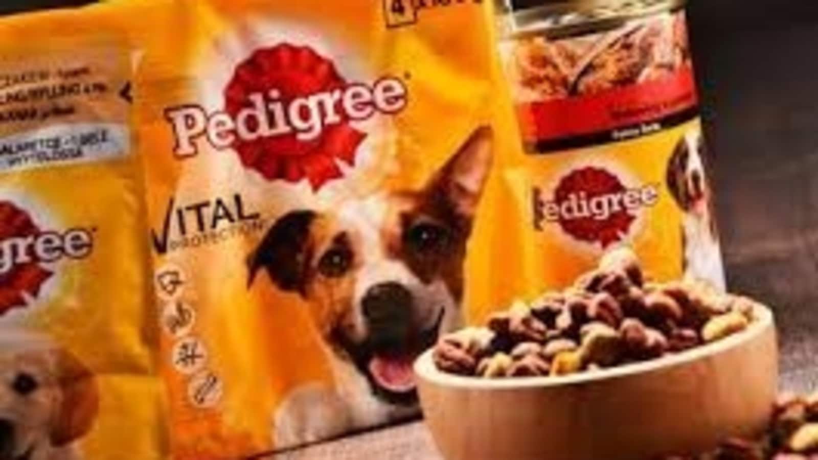 do not feed your dog pedigree