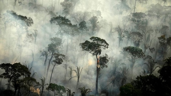 Smoke billows from a fire in an area of the Amazon rainforest near Porto Velho.