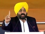 Chief minister Bhagwant Mann said the timely completion of the civil air terminal at Halwara is the need of the hour to give impetus to the economic growth of the state. (ANI File) Chief minister Bhagwant Mann said the timely completion of the civil air terminal at Halwara is the need of the hour to give impetus to the economic growth of the state. (ANI File)