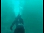 Old video shows a man's scary encounter with a white shark.