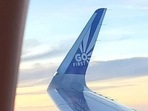 The regular said prima facie it emerged that the DGCA failed to comply with rules. (Twitter | Go First) The regular said prima facie it emerged that the DGCA failed to comply with rules. (Twitter | Go First)