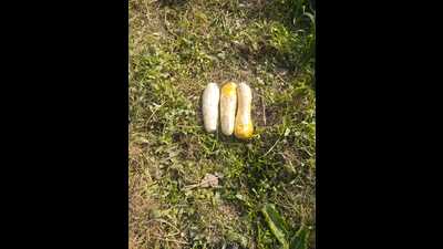 BSF seizes 3 kg heroin in Punjab’s Ferozepur