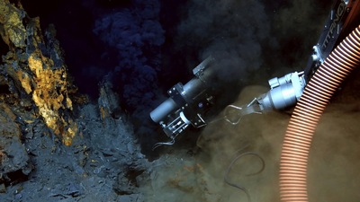 Holy smoke: At the bottom of the Arctic Ocean, beneath the permanent sea ice near the North Pole, are hydrothermal vents letting out a super-heated soup from deep underground. The Aurora vent field, first detected about two decades ago, lies at the depth of 4,000 metres and was explored in detail by the HACON expedition in September-October 2021. Vents like these, which emit dark, smoke-like clouds of hot liquid (like underwater volcanoes), are called black smokers. While life is sparse in the deep seas, around such vents organisms have adapted to survive and thrive on the heat and chemicals such as methane and sulphur available. (HACON2021) Holy smoke: At the bottom of the Arctic Ocean, beneath the permanent sea ice near the North Pole, are hydrothermal vents letting out a super-heated soup from deep underground. The Aurora vent field, first detected about two decades ago, lies at the depth of 4,000 metres and was explored in detail by the HACON expedition in September-October 2021. Vents like these, which emit dark, smoke-like clouds of hot liquid (like underwater volcanoes), are called black smokers. While life is sparse in the deep seas, around such vents organisms have adapted to survive and thrive on the heat and chemicals such as methane and sulphur available. (HACON2021)