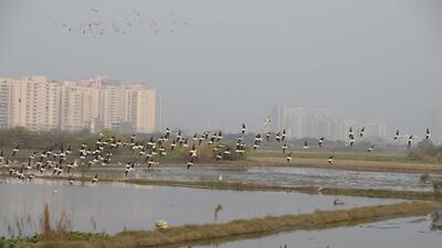 Gurugram, India-December 01: Dirty water of the Najafgarh drain logged in the Daulatabad village field at Dwarka expressway near sector-107,in Gurugram, India, on Thursday, 01 December 2022.(Photo by Parveen Kumar/Hindustan Times)(Pic to go with Abhishek Bhel's Story) Gurugram, India-December 01: Dirty water of the Najafgarh drain logged in the Daulatabad village field at Dwarka expressway near sector-107,in Gurugram, India, on Thursday, 01 December 2022.(Photo by Parveen Kumar/Hindustan Times)(Pic to go with Abhishek Bhel's Story)