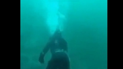 Old video shows a man's scary encounter with a white shark. (Twitter/@OodlyTeriffying ) Old video shows a man's scary encounter with a white shark. (Twitter/@OodlyTeriffying )