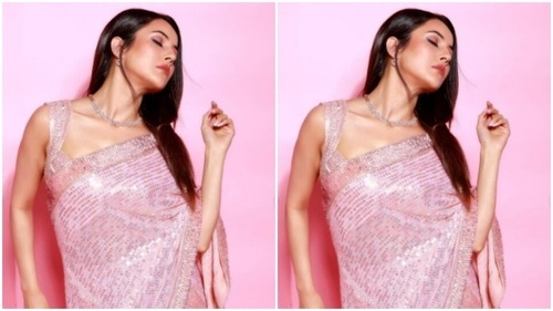 Shehnaaz's saree came with stone and zari details all throughout. Shehnaaz paired it with a sleeveless sequined blouse of the same colour. (Instagram/@shehnaazgill)