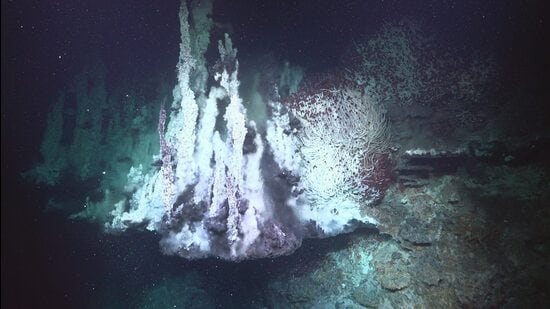 Hydrothermal vents, chimneys and mirror pools, home to a large population of tubeworms. (Schmidt Ocean Institute)